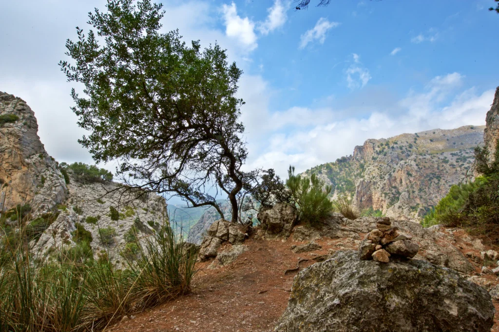 Serra de Tramuntana